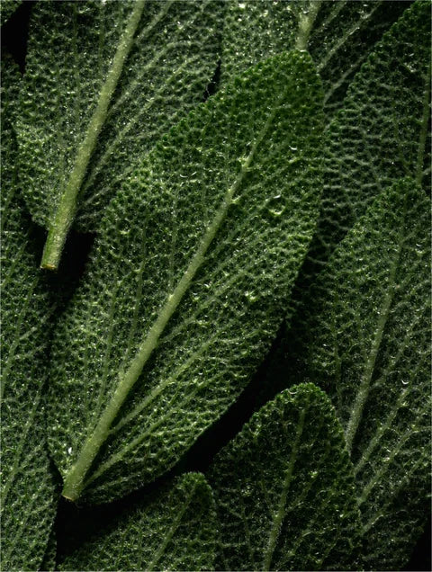 Balsamo volumizzante con cheratina