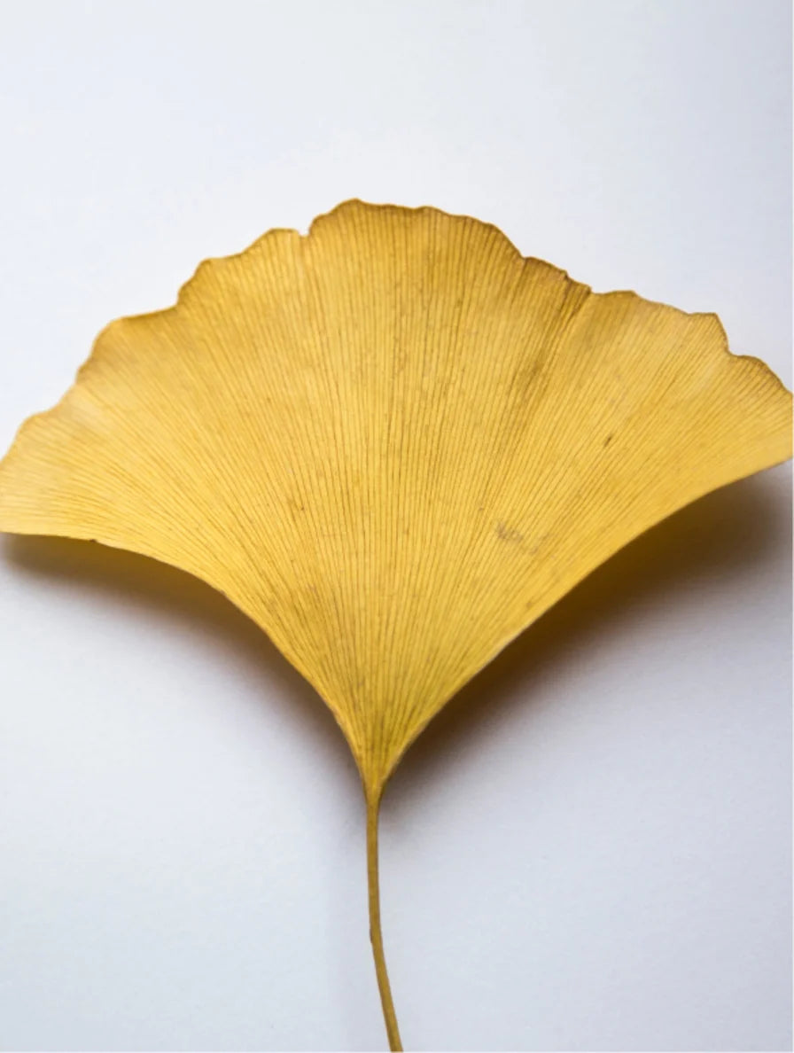 Gel booster antiossidante al ginkgo