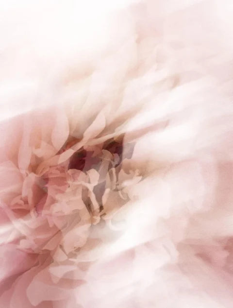 Crema notte anti-età al collagene