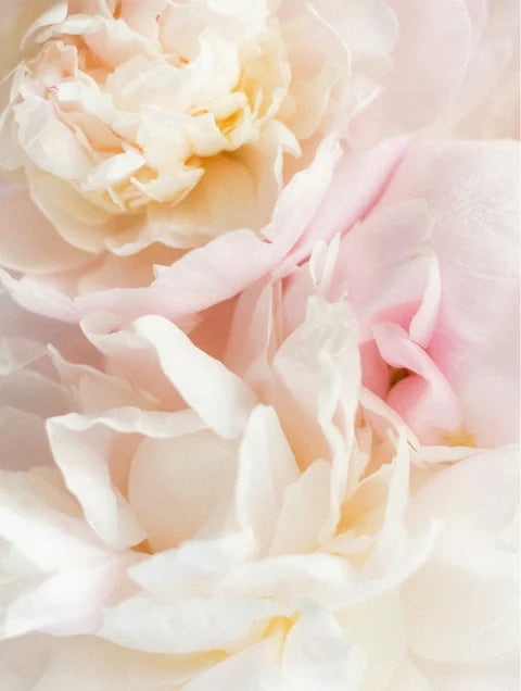 Shampoo delicato per bambini